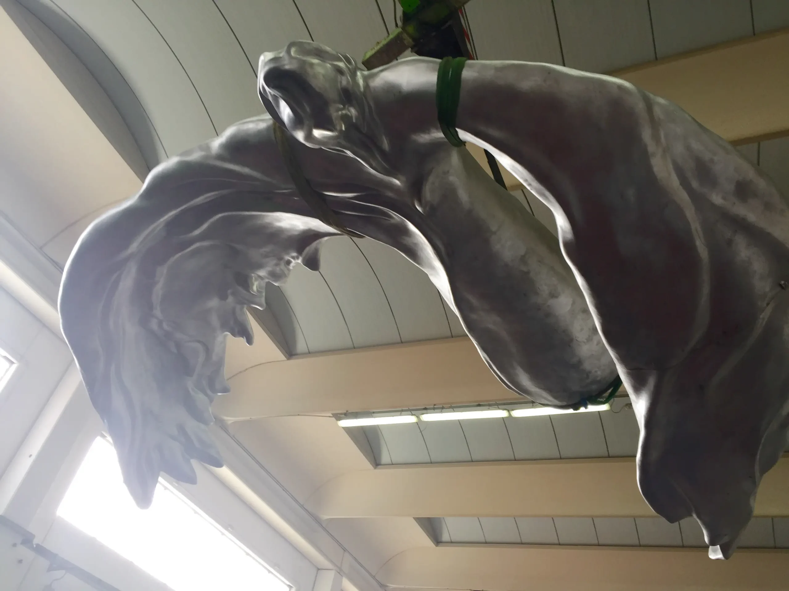 L'Angelo dell'Alta Langa