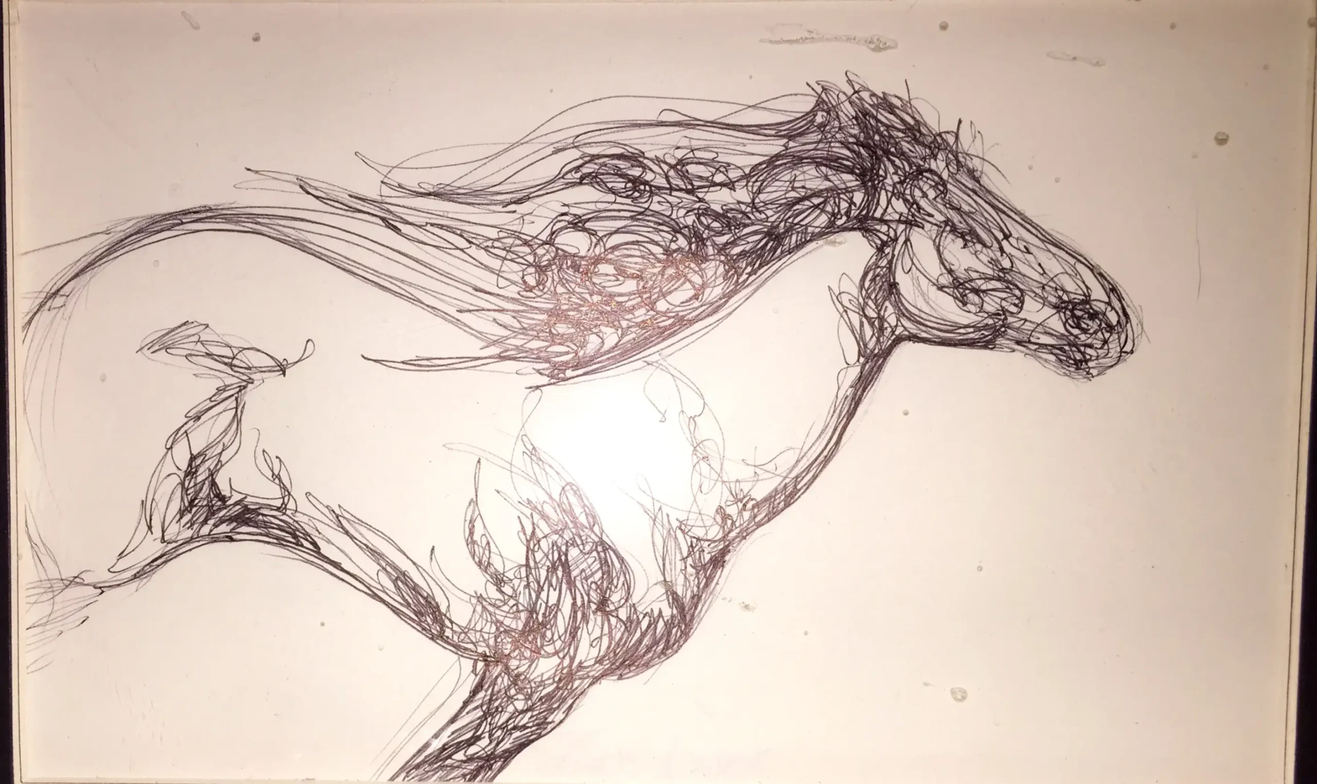 Il Cavallo ed il Bambino