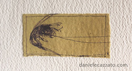 Verduno Bumblebees — work 6