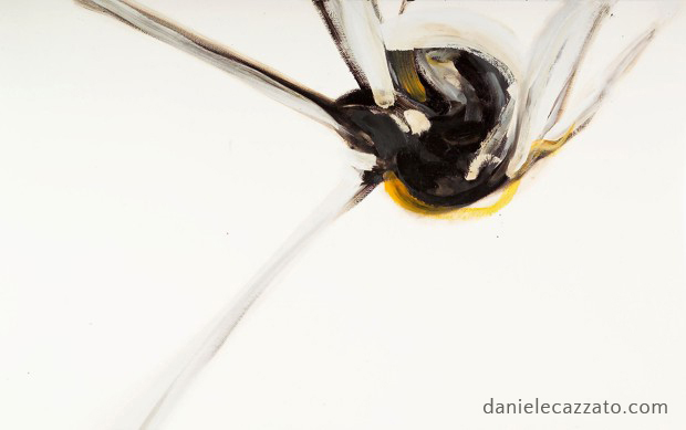 Verduno Bumblebees — work 5