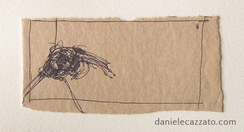 Verduno Bumblebees — work 4